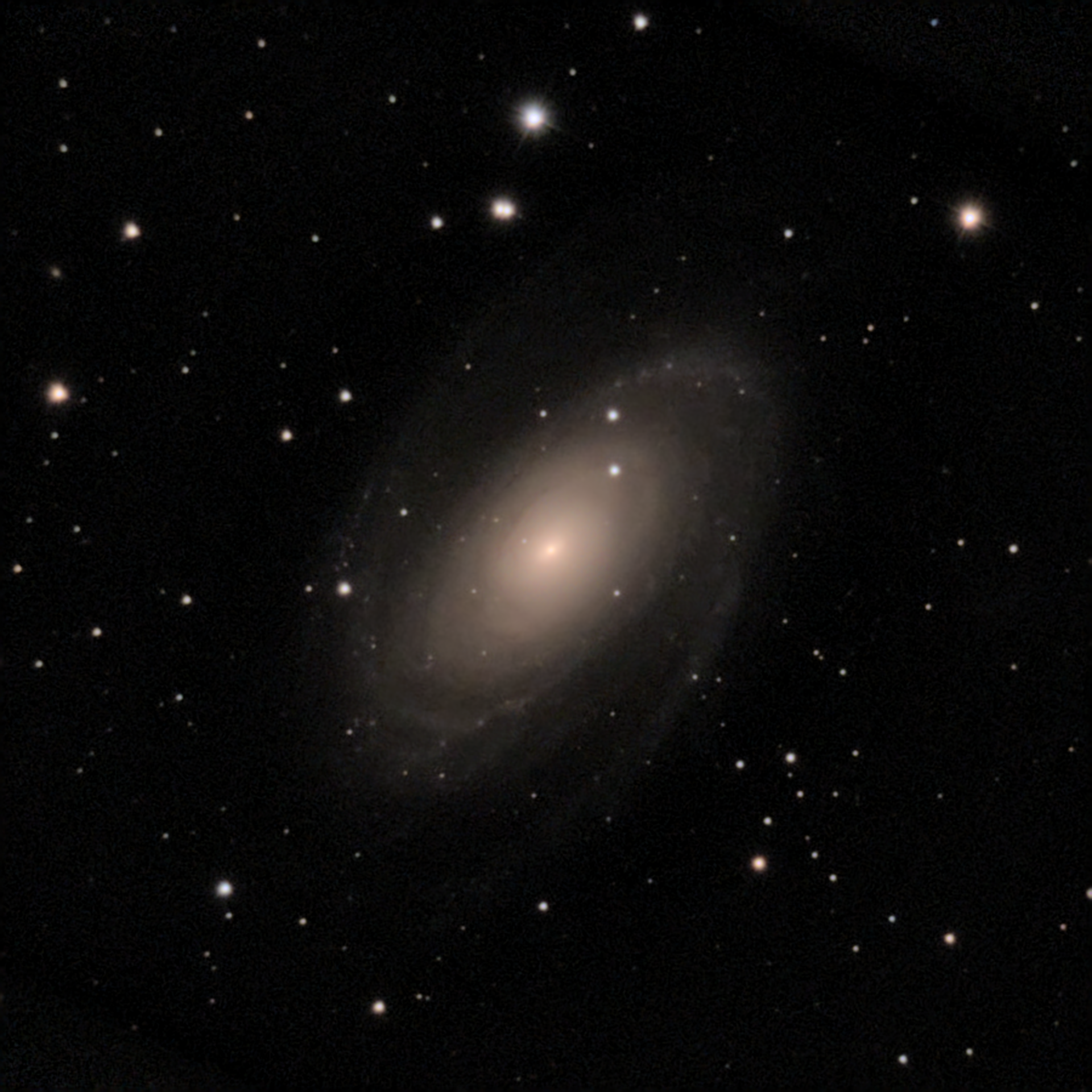 Galaxie de Bode (M81)