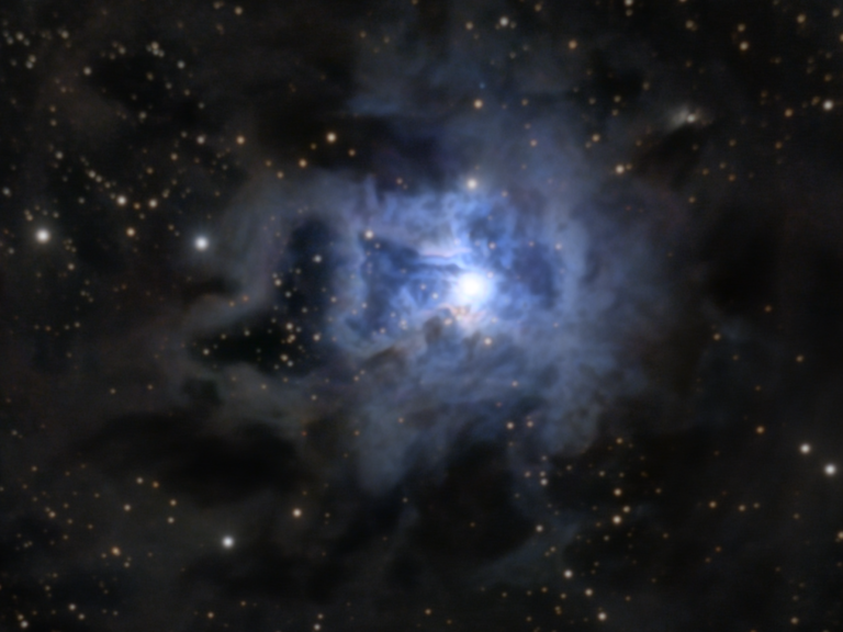 Nébuleuse de l'Iris (NGC 7023)
