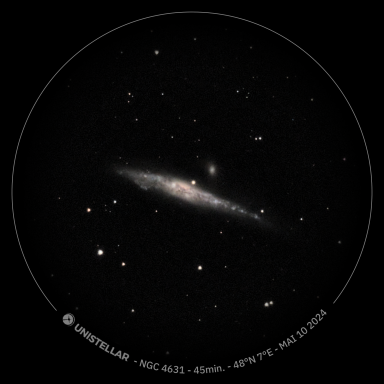 Galaxie de la Baleine (NGC 4631)