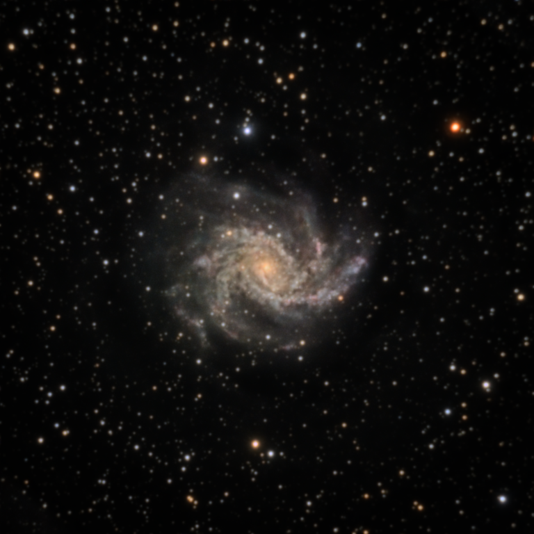 Galaxie du Feu d'artifice (NGC 6946)