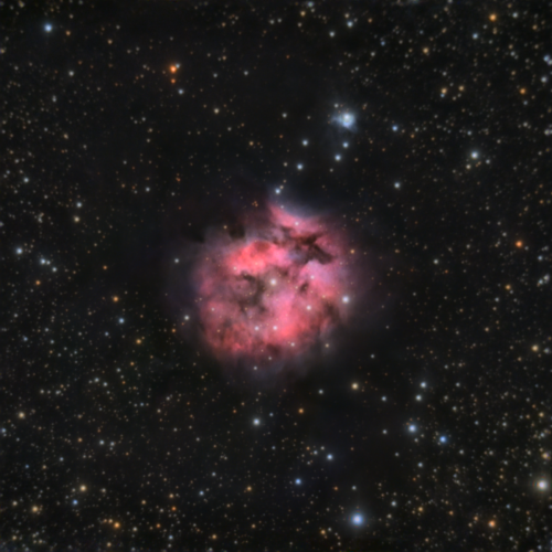 IC5146 11072026