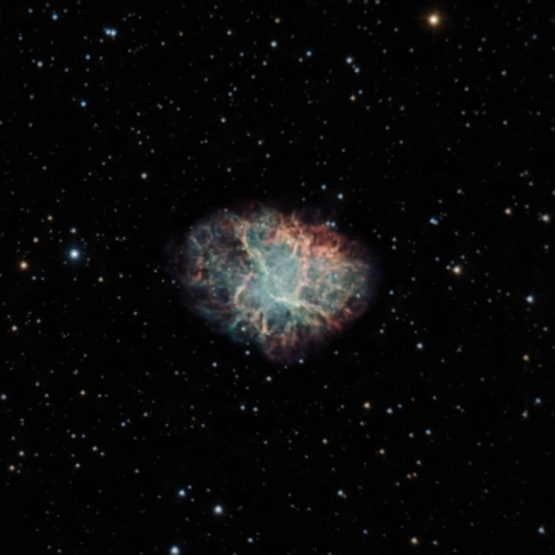 M1 20250217